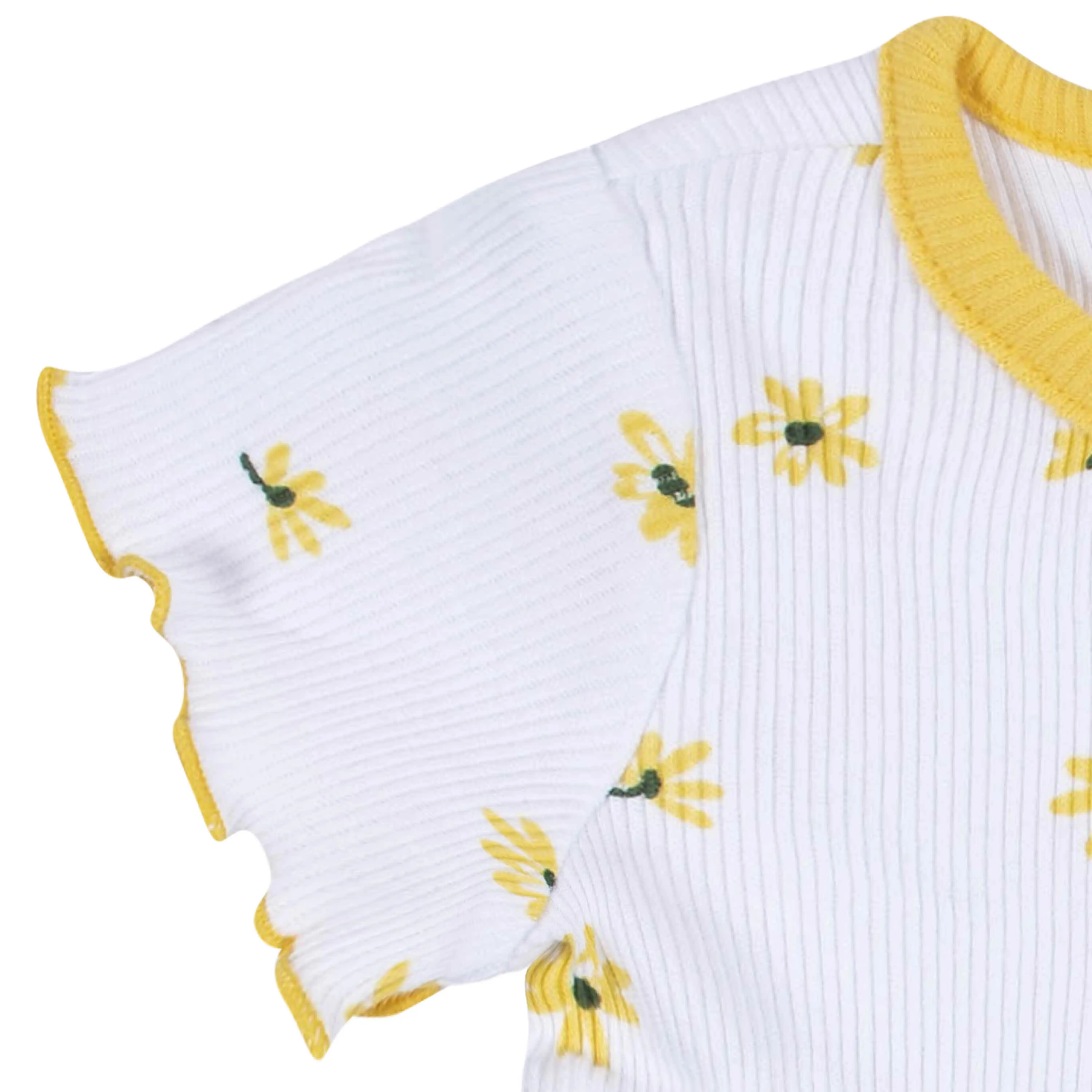 2-Pack Baby & Toddler Girls Picnic Day Dreams Short Sleeve Cotton Dresses Gerber Childrenswea