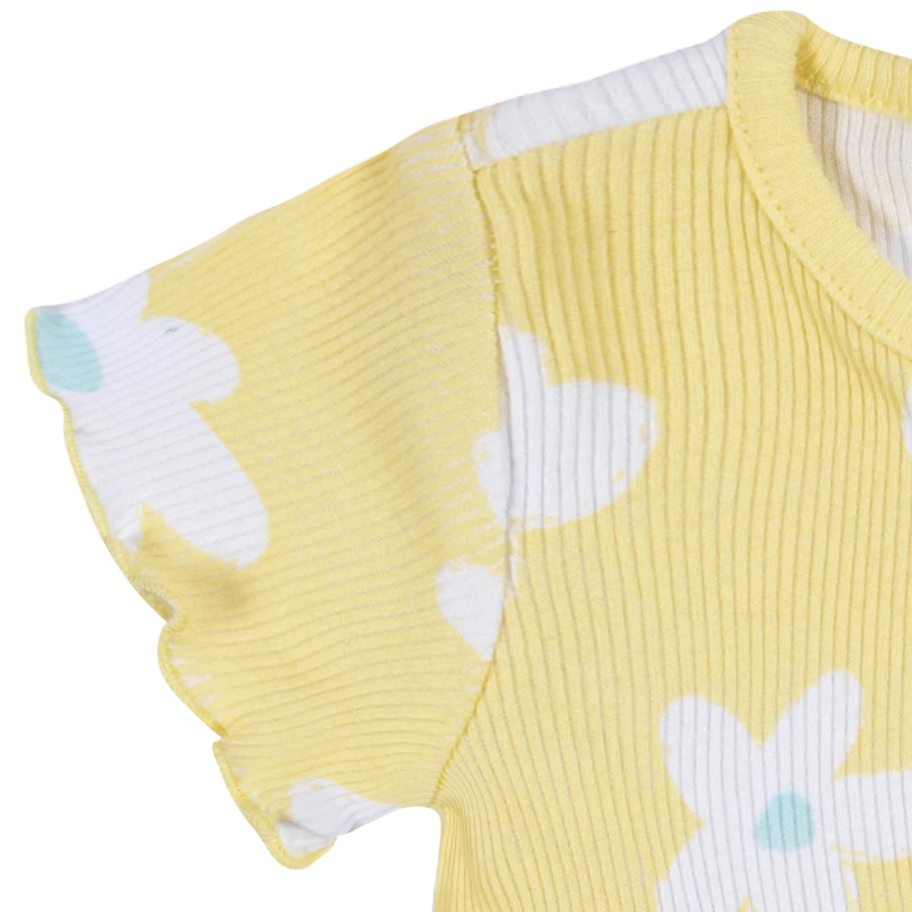 2-Pack Baby & Toddler Girls Picnic Day Dreams Short Sleeve Cotton Dresses Gerber Childrenswea
