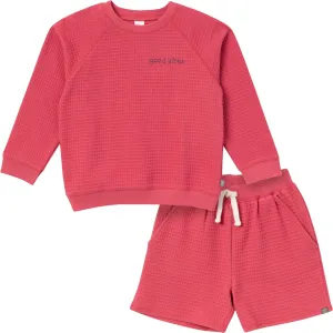 2-Piece Infant & Toddler Boys Dusty Red Long Sleeve Top and Shorts Set Gerber Childrenswea