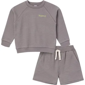 2-Piece Infant & Toddler Boys Grey Long Sleeve Top and Shorts Set Gerber Childrenswea