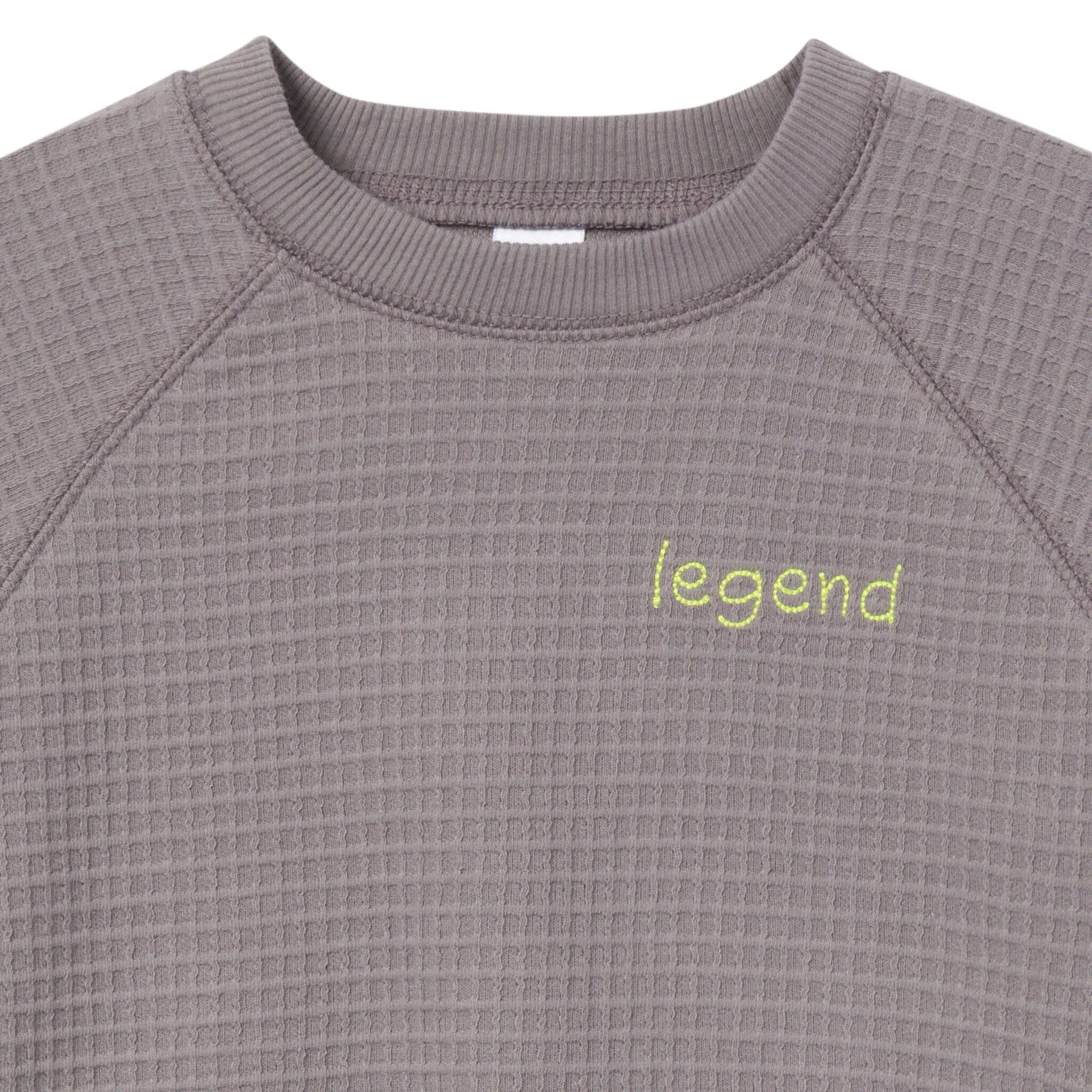 2-Piece Infant & Toddler Boys Grey Long Sleeve Top and Shorts Set Gerber Childrenswea