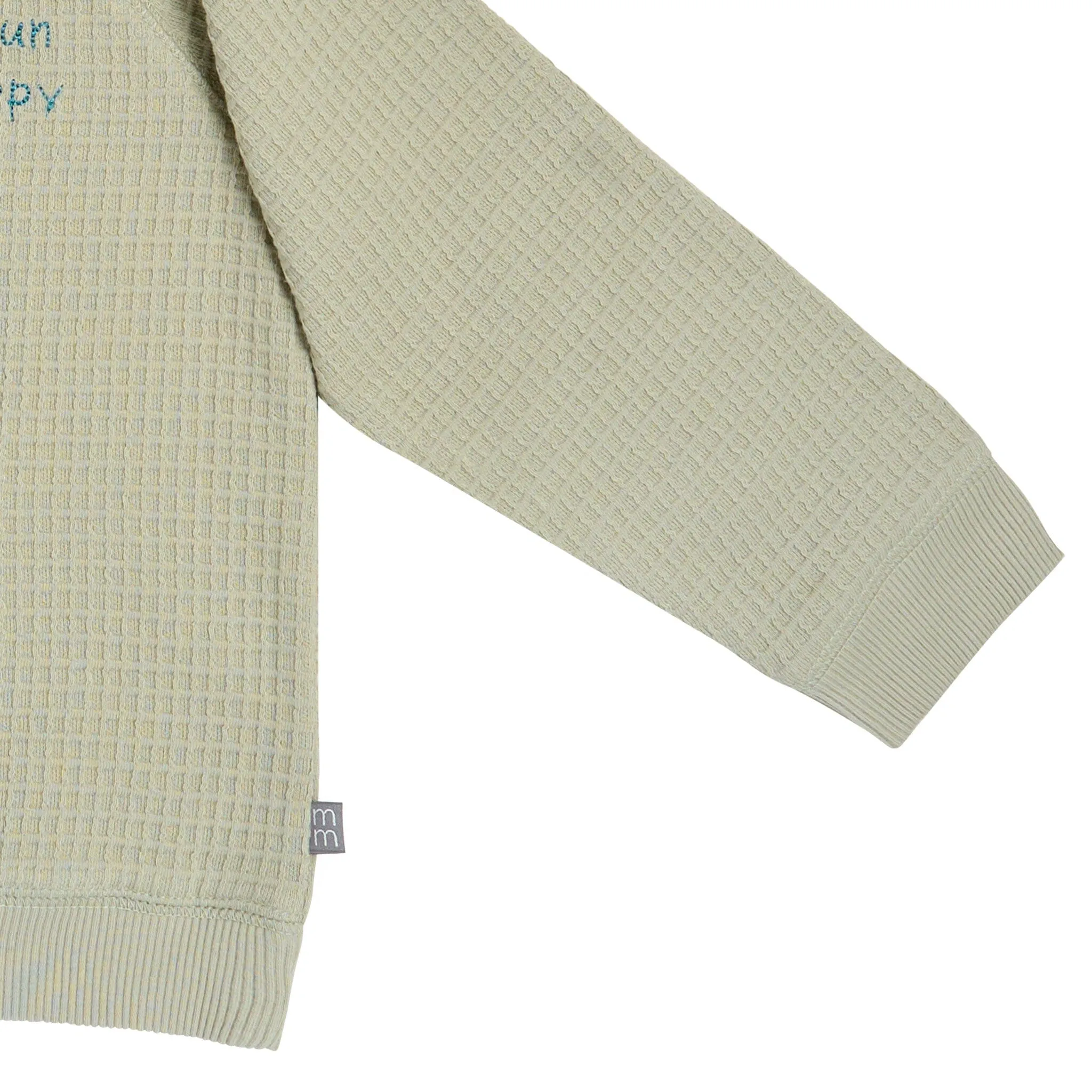 2-Piece Infant & Toddler Boys Light Green Long Sleeve Top and Shorts Set Gerber Childrenswea