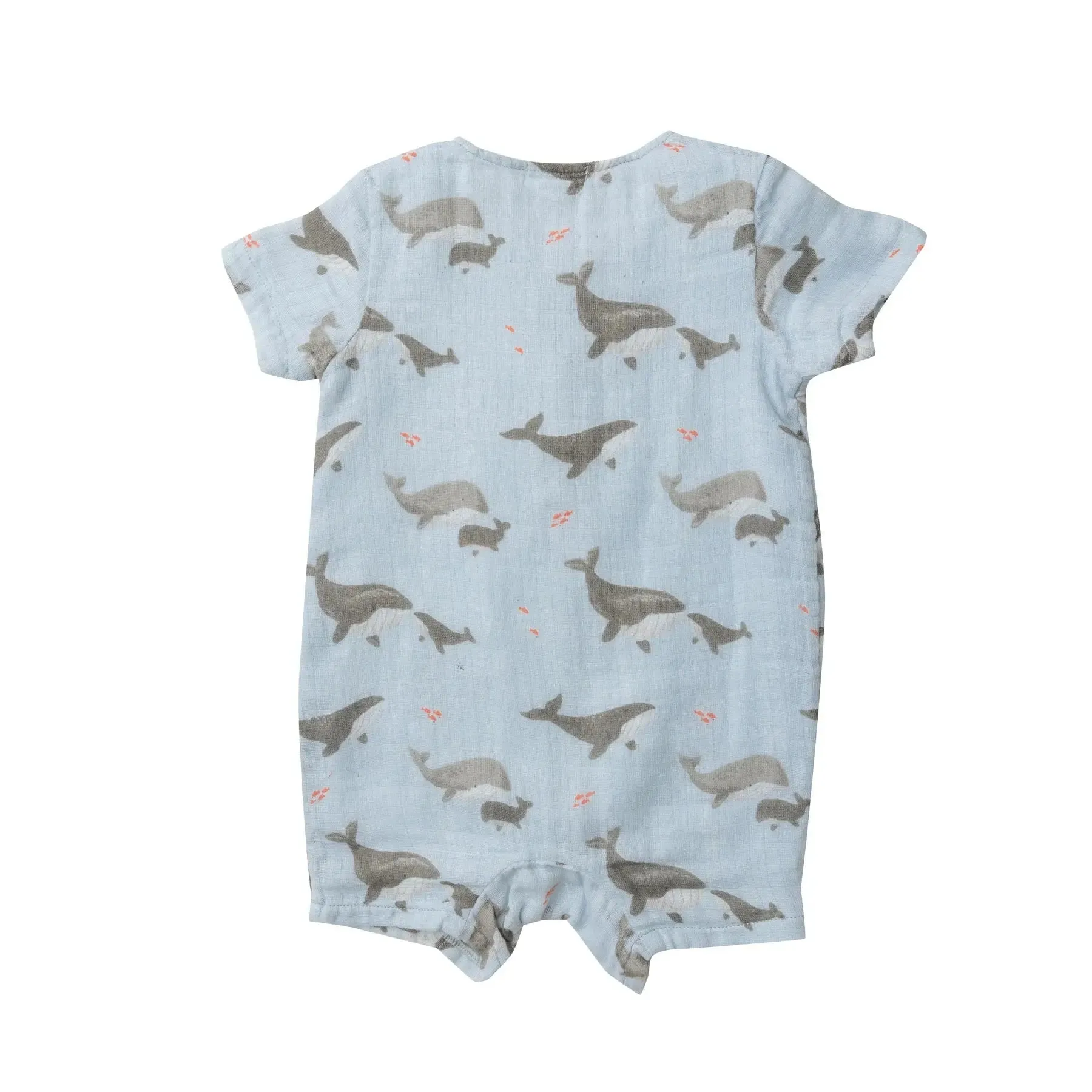 Henley Shortall - Grey Whales | Angel Dear