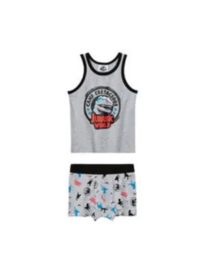 Kid's Boy's 2 Pcs Tank Top & Boxer Set,Grey