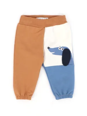 Kids Boy's Colorblocked Joggers,Multi