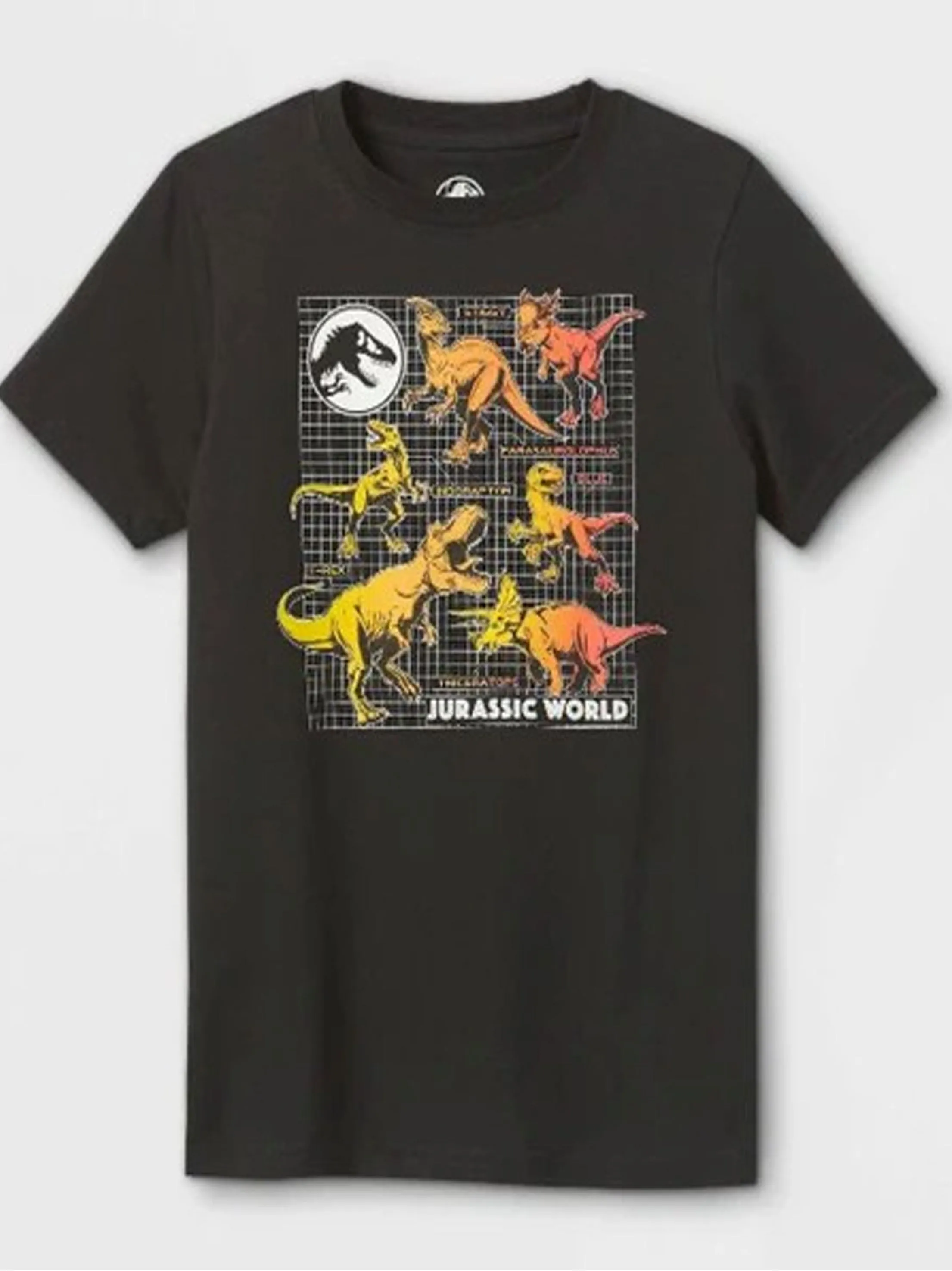 Kids Boy's Graphic Printed T-Shirt,Black