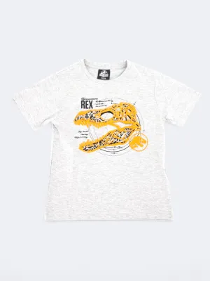 Kids Boy's Graphic Printed T-Shirt,Grey
