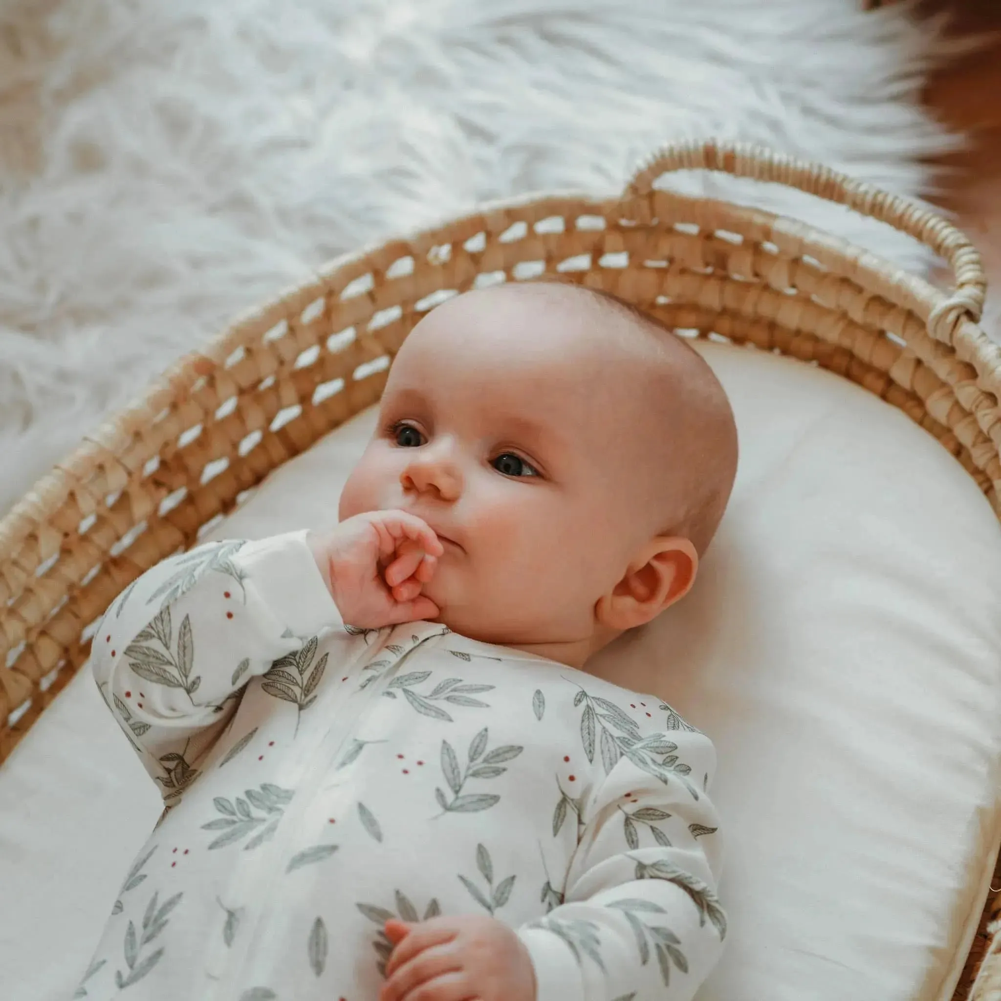 Laurel Leaves Print on Off-White Sleeper | Petit Lem