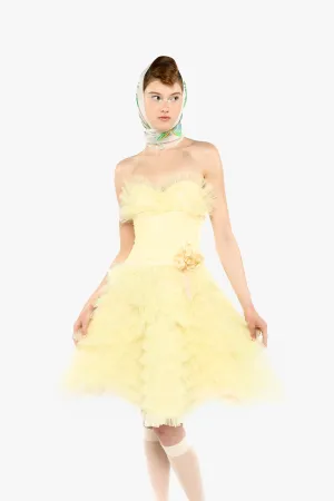 Party Girl Strapless Tulle Dress Annasui