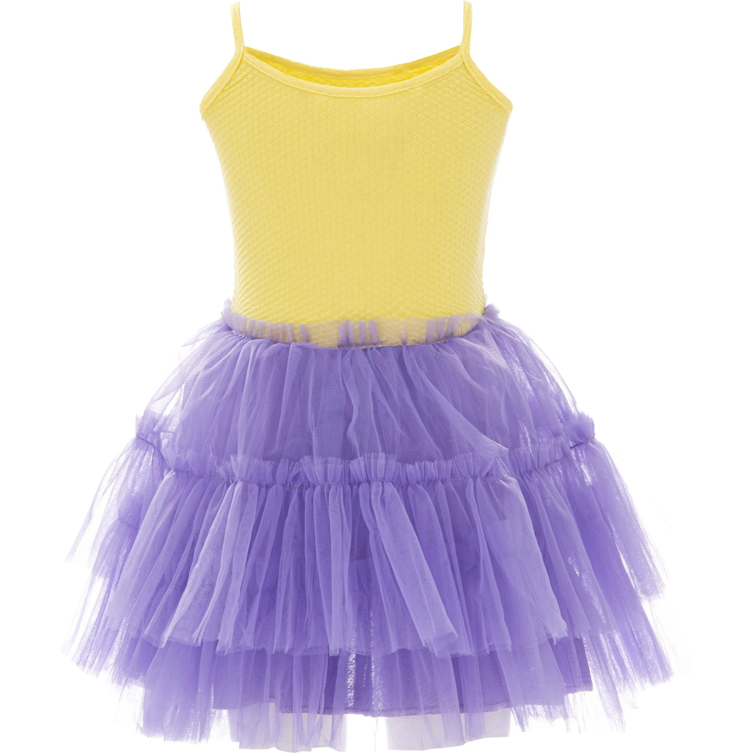 Purple Jenny Sequin Rainbow Tulle Dress