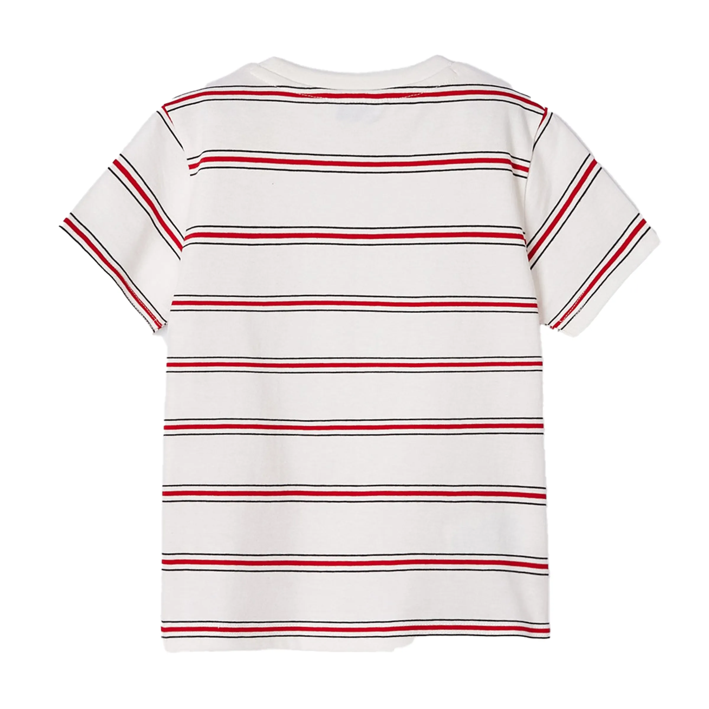 Red Striped Wild Adventure Graphic T-Shirt