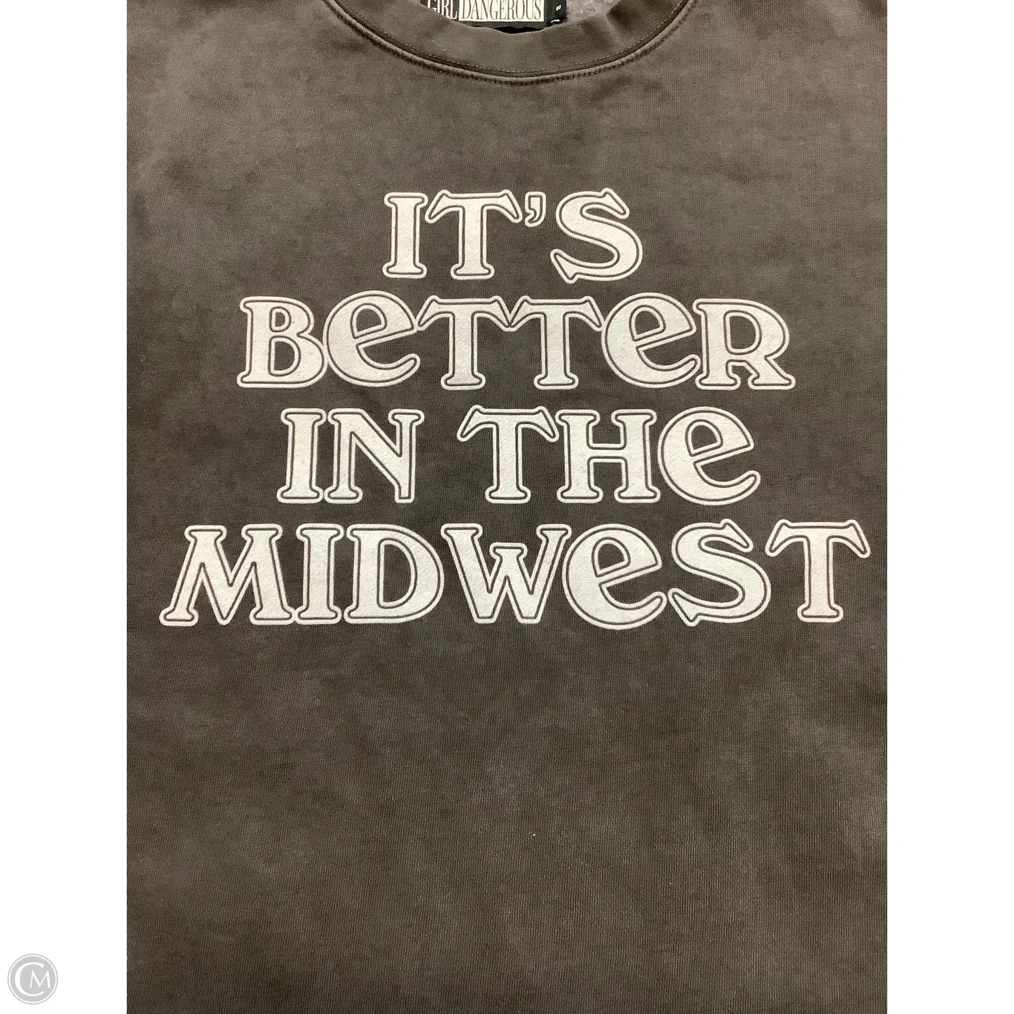 Sweatshirt Crewneck By Girl Dangerous In Grey, Size: S